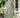 Hawaiian Print Wrap Back Muu Muu