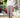 Soft Waist Culottes