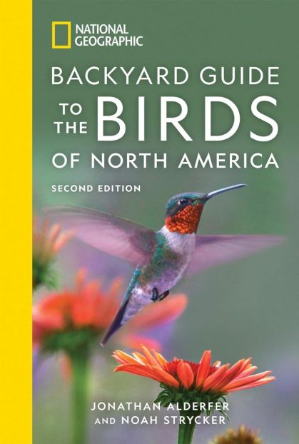 Bird Feeder, Binoculars and Bird Guide Set